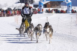 Lenk 2013